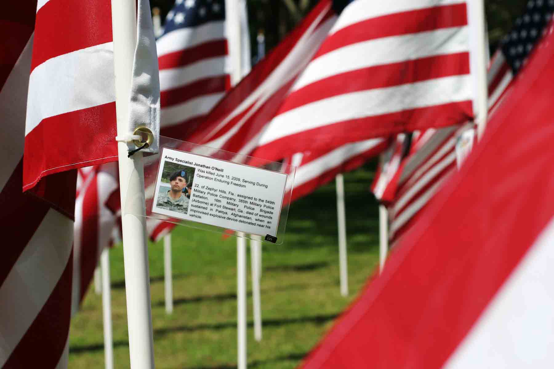 flag with picture, name and information about a fallen service member