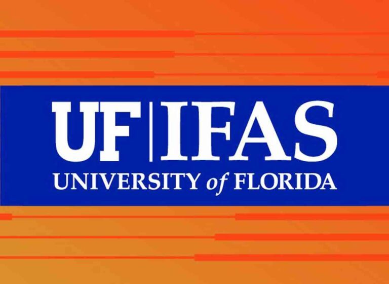 University of Florida Institute of Food and Agricultural Sciences (UF/IFAS) logo illustration