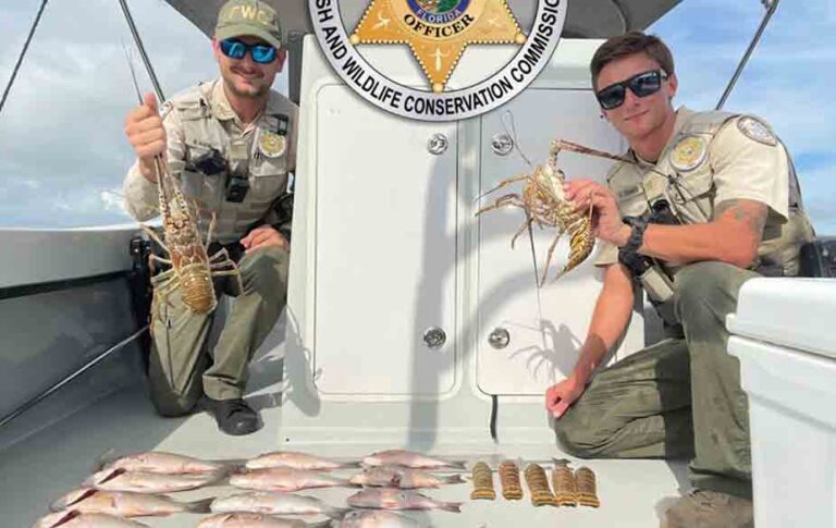 two wildlife officers in boat displaying illegal fish, lobsters