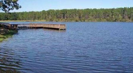 A dock on Bear Lake in Santa Rosa County, Florida, surrounded by trees.
