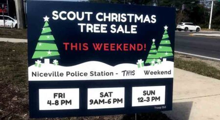 roadside sign promoting scout christmas tree sale