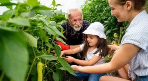 senior master gardener with a mother and child in a greenhouse growing vegetables