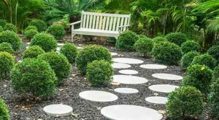 Decorative bright round steppingstones along a footpath by spherical low shrubs and a bench in an ornamental garden in Florida.