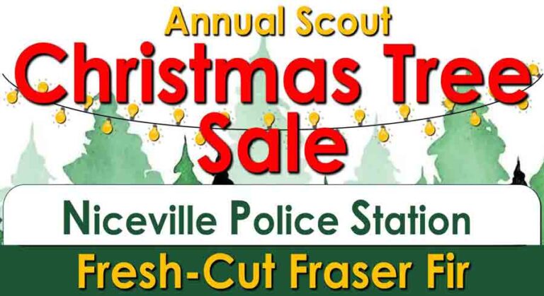 Promotional banner for the Annual Scout Christmas Tree Sale at the Niceville Police Station, featuring "Fresh-Cut Fraser Fir" in bold lettering with a festive background of trees and string lights.