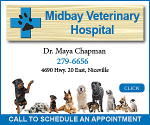 A square digital ad for Midbay Veterinary Hospital with multiple dogs of different breeds, a blue veterinary cross logo, Dr. Maya Chapman’s contact information, and a “Click” button for scheduling an appointment.