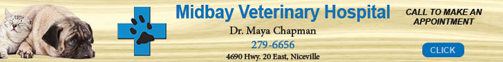 A horizontal digital banner for Midbay Veterinary Hospital featuring a dog and a cat, a blue veterinary cross logo, contact details for Dr. Maya Chapman, and a call-to-action button that says "Click" to make an appointment