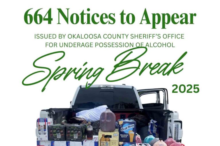 Truck bed filled with alcohol containers seized by deputies during Spring Break