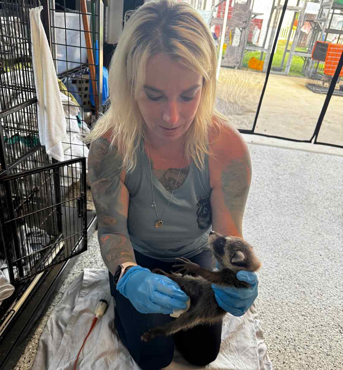 Shelby Robinson cares for a baby raccoon at Panhandle Wildlife Rescue