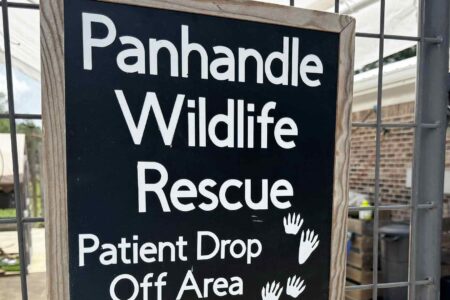 Sign at Panhandle Wildlife Rescue designating patient drop-off area