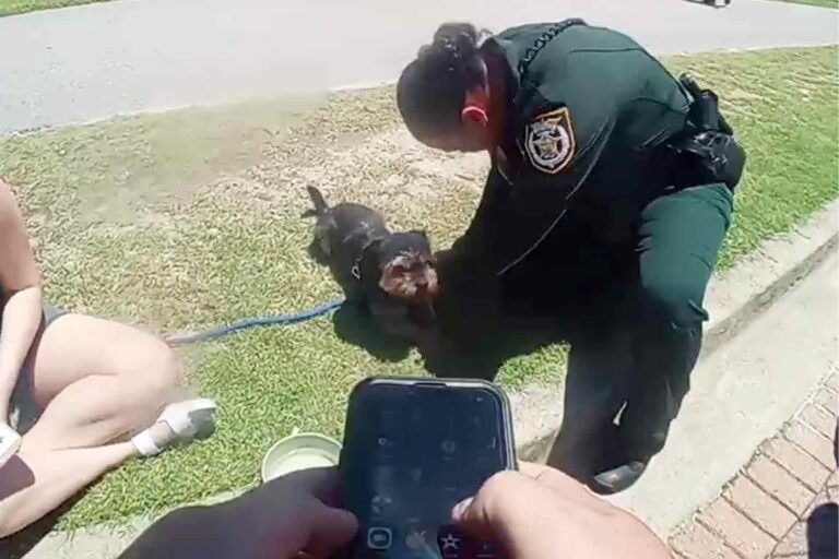 Walton County deputy gives water to rescued Yorkie after hot car incident
