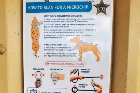 Instructional sign showing how to scan a dog for a microchip using handheld devices.