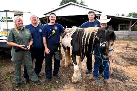 Firefighters and animal control officer pose with horse and owner after rescue.