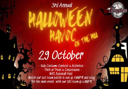 Kids run the bases in costume at Halloween Havoc Oct. 29 Flyer for the 3rd Annual Halloween Havoc on the Hill hosted by Niceville Amateur Youth Baseball.