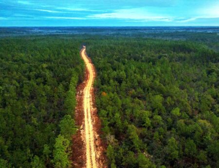 New state park opens near DeFuniak Springs along Shoal River Aerial view of a sandy road cutting through forested land at Shoal River Headwaters State Park near DeFuniak Springs.