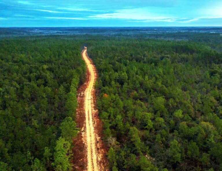 New state park opens near DeFuniak Springs along Shoal River Aerial view of a sandy road cutting through forested land at Shoal River Headwaters State Park near DeFuniak Springs.