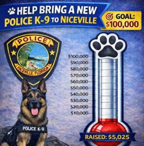 Niceville Police add online donations as K-9 fund tops $5K Fundraising graphic showing Niceville Police Department K-9 campaign with $5,025 raised toward $100,000 goal