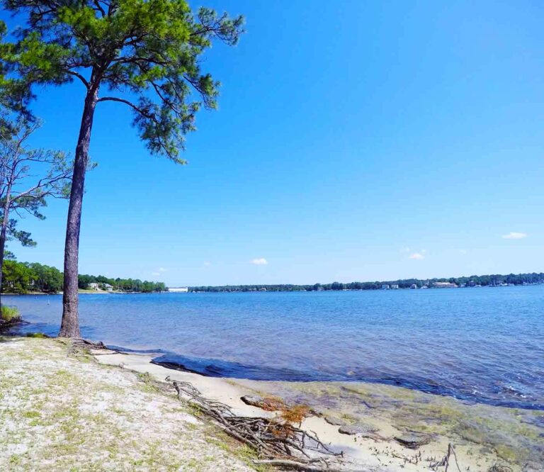 Shoreline view of Boggy Bayou near Lincoln Park in Niceville, Florida, on a clear day.