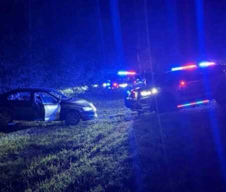 Deputies surround a disabled sedan during a nighttime traffic stop in Walton County