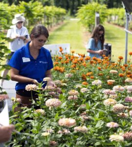 UF/IFAS Extension horticulture expert Erin Harlow demonstrates flower selection techniques in a garden filled with blooming flowers and greenery while participants observe and take notes.