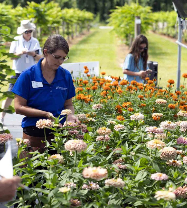 UF/IFAS Extension horticulture expert Erin Harlow demonstrates flower selection techniques in a garden filled with blooming flowers and greenery while participants observe and take notes.