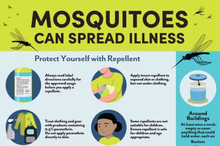 A Florida Department of Health infographic explains how to prevent mosquito-borne illnesses by using insect repellent, eliminating standing water, repairing window screens and protecting homes from mosquitoes.